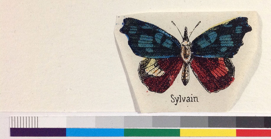 Sylvain 2