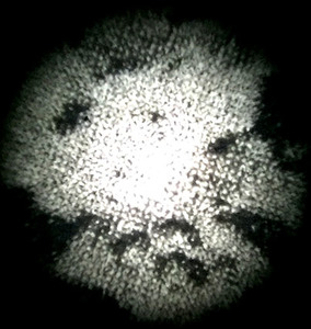 Detalle fotogrb 2