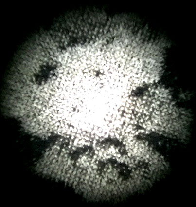 Detalle fotogrb 2