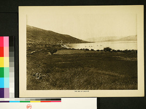 Mar galilea
