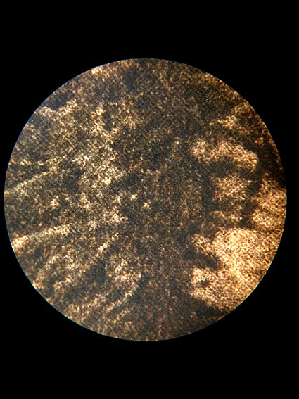 Vandyckbrown photograveaure 1