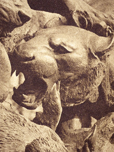 Ceefm2020 03 03 009 detalle