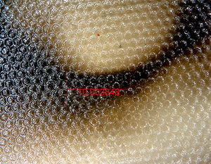 Cef 2021 01 06 008 detalle 3