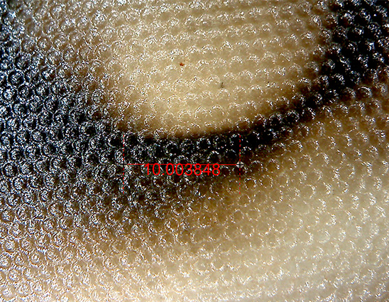 Cef 2021 01 06 008 detalle 3