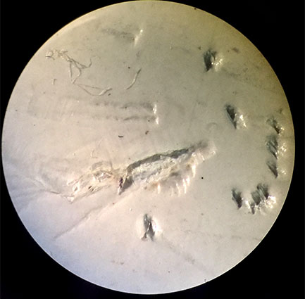 Cef 2020 01 03 011