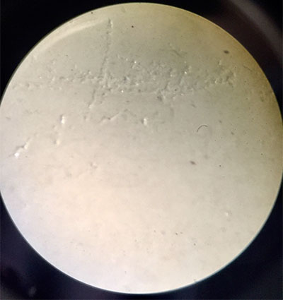 Cef 2020 01 03b