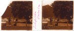 Placa estereo talapilla orizba