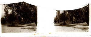 Dos jinetes en camino