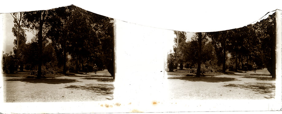 Dos jinetes en camino
