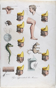Figuri rei 72