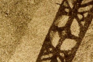 Heliografia det 2