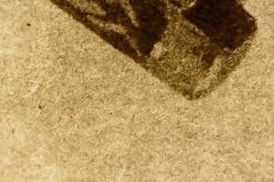 Heliografia det 3