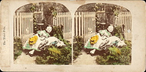 Tarjstereo tired pets