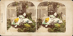 Tarjstereo tired pets