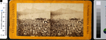 Cete 2024 01 025 napoli