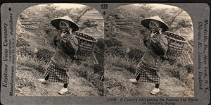 Tarj stereo cete 2023 01 050a country girl among the famous tea fields