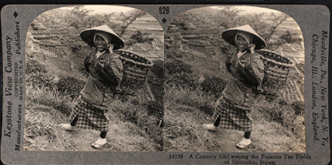 Tarj stereo cete 2023 01 050a country girl among the famous tea fields