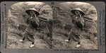 Tarj stereo cete 2023 01 050a country girl among the famous tea fields