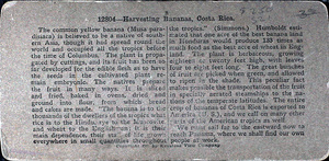 Tarj stereo cete 0205 01 067 verso