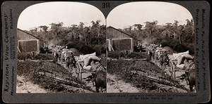 Cete 2026 01 072 brazil chats coffee copia