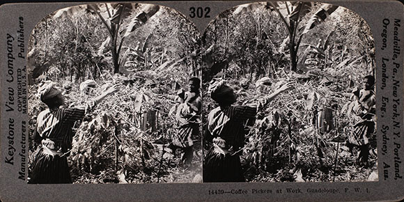  cete 2026 01 073coffe peakers gpe copia