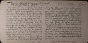 Cete 2026 01 073 coffe peakers gpe verso 1