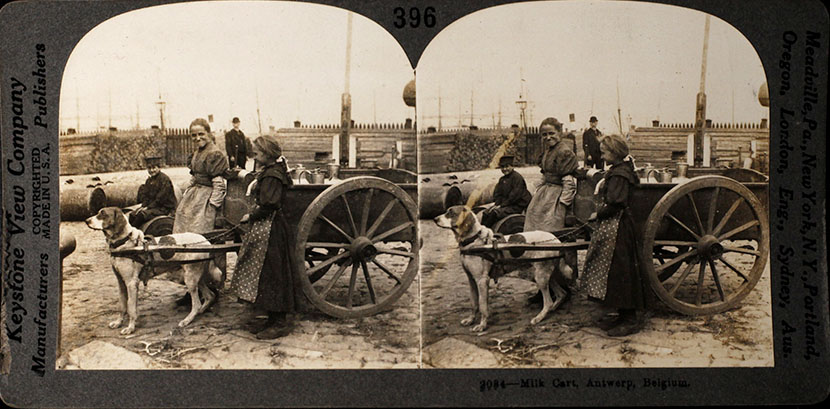 Tarj stereo cete 2026 01 074 belgique carro leche