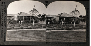 Tarj stereo cete 2026 01 076 editada brazil drying coffee